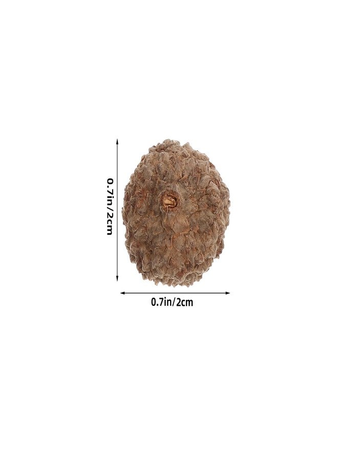 TOPPERFUN 100Pcs Natural Acorns Caps for Crafts, Bulk Real Rustic Acorns Tops for Craft Christmas Thanksgiving Pine Cone Ornament Winter Xmas Tree Wreath Vase Filler Decoration - Image 2